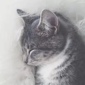 安静淡然的意境头像高清安静的图片头像唯美淡然