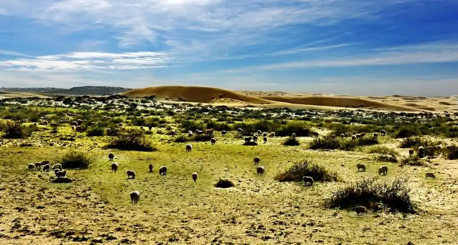 新疆喀纳斯戈壁沙漠草原风光,敬请欣赏