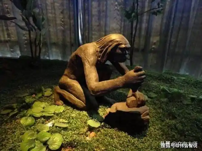 原始人类到底是谁人类的原始进化及人类历史的起源探析