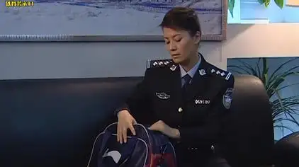 女公安局长廖芳华电视剧 - 西瓜视频