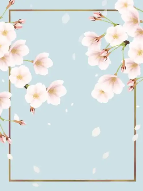 边框素材 - 堆糖,美图壁纸兴趣社区