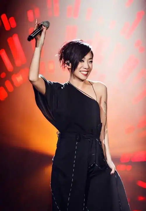 曝林忆莲将出最后一张专辑慢慢淡出歌坛经纪人并没有肯定