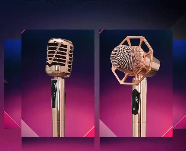 一折摇麦ktv麦克风