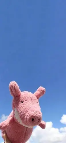 「壁纸第8期」今日份的小可爱壁纸,请查收