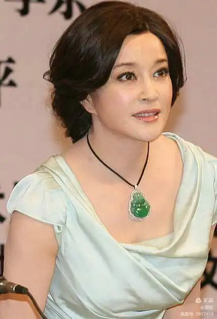 屯出100亿除了刘晓庆谁还能hold住翡翠