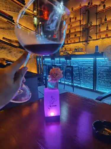 其它 梅子酒吧 写美篇我怀念的不是酒,或是闺蜜,或而是散落天涯的老友