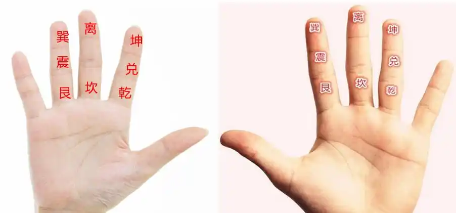 节,除掉正中间指节(中宫),其他八个指节相匹配后天八卦(先天八卦也可)