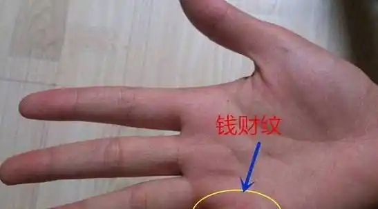 钱财纹较多,指的是小指根部下方的细细密密的线纹,是指在小指和无名指