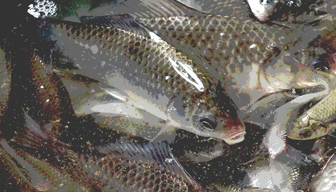 700_400gif 动态图 动图