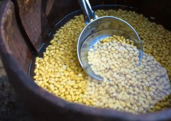 在家做豆腐的步骤