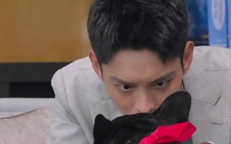 活动作品醋坛子厉腾太可爱了