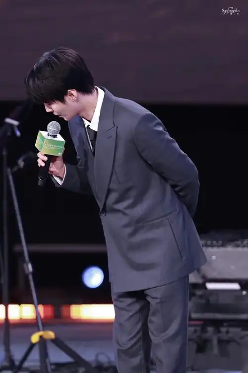 王俊凯平遥电影展特约策展人##王俊凯红毯全身镜头