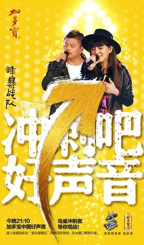 第四季加多宝中国好声音 新媒体 微博海报 冲刺海报 站队海报--汪峰