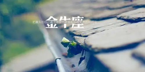 金牛座421520专属情歌