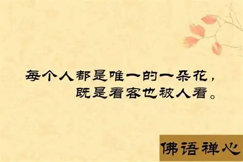 佛家静心禅语句子