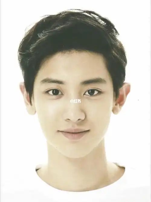 灿烈证件照合集1