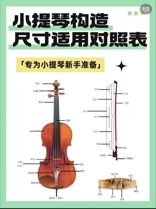三张图带你了解一下小提琴构造和尺寸适用6015