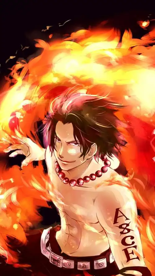 海贼王–艾斯介绍