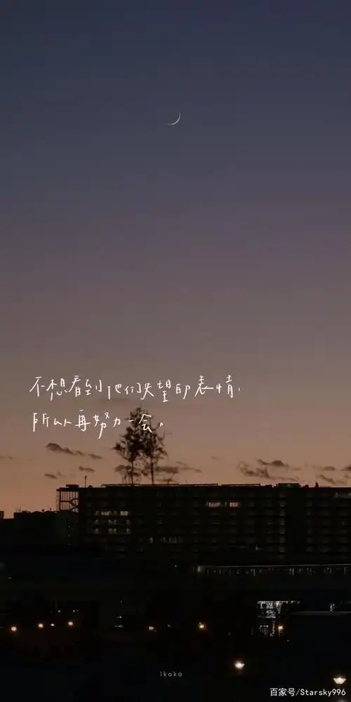 竖屏壁纸,文字风