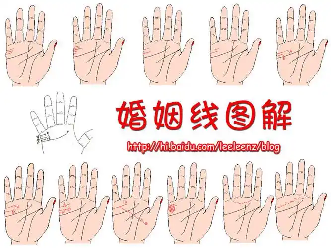 婚姻线图解