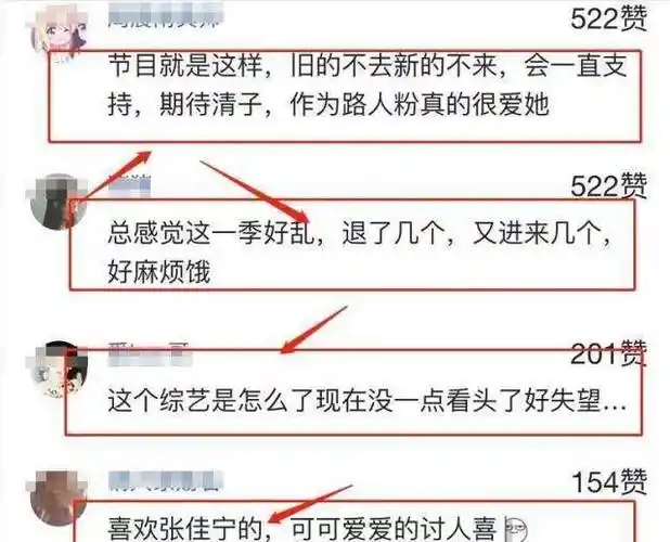 但让人没有想到的是张佳宁和张碧晨也退出了节目的录制,张碧晨更是