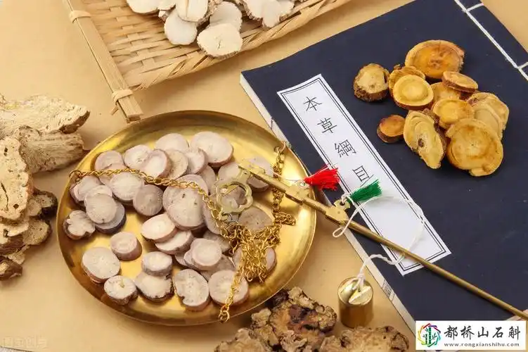 车前子的功效与作用