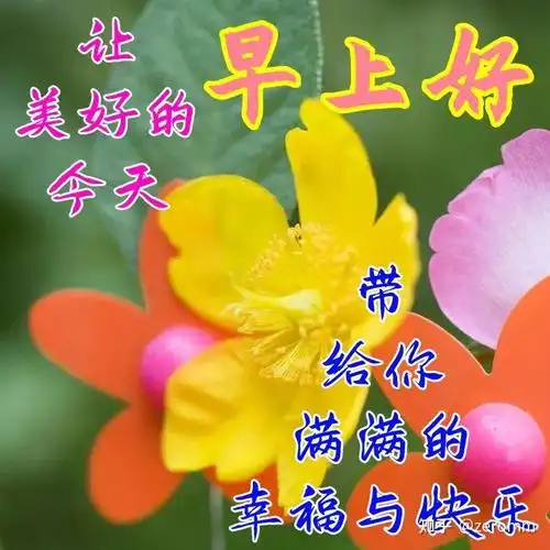 看淡得失的早安正能量语录句子,早上好问候语表情包动态图片 - 知乎