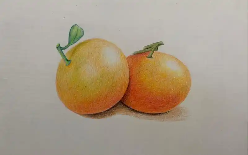 彩铅画桔子,喜欢点赞关注评论哦!会持续分享