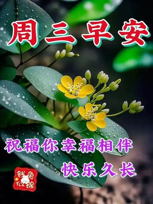 周三愉快!|快乐|清晨|幸福_网易订阅