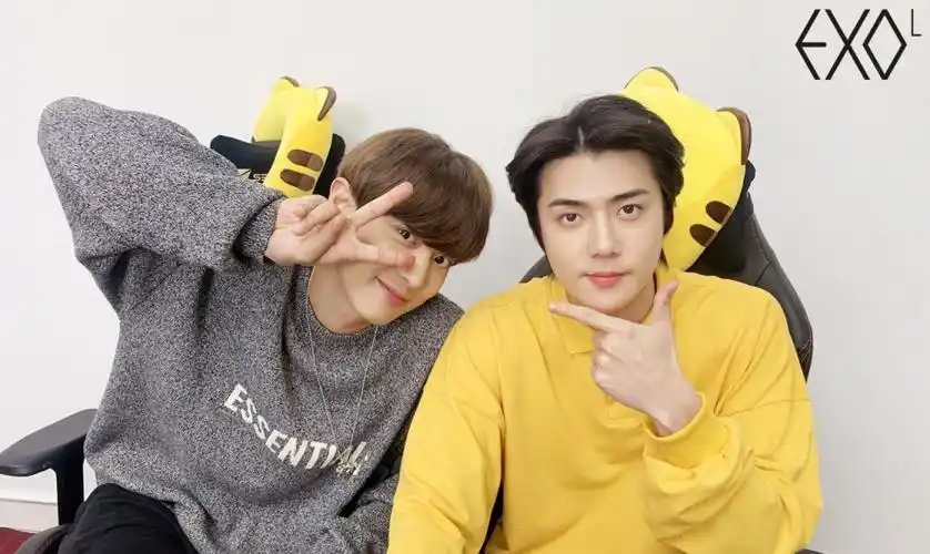 exo成员朴灿烈吴世勋签约新公司网友恭喜终于脱离苦海