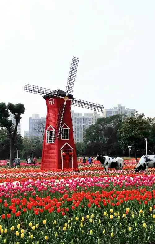 大宁灵石公园郁金香花展