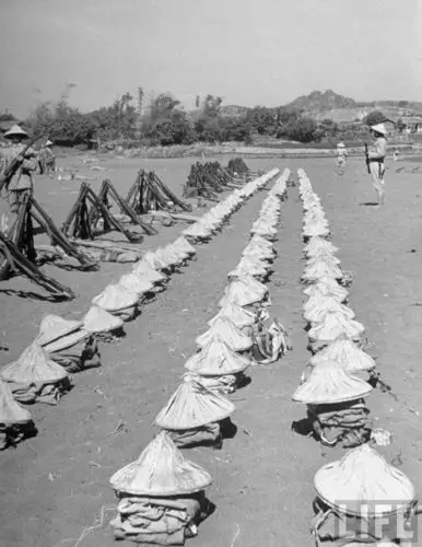 40张50年代初期台湾老照片 宝岛的青年们很亢奋