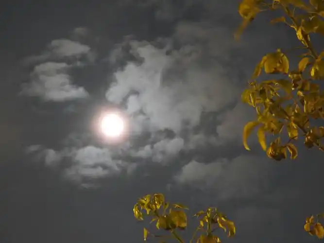 八月十五的月亮