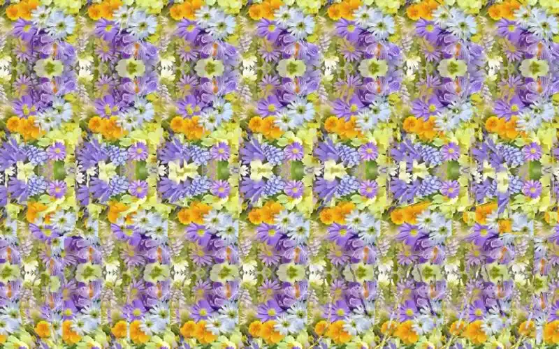 裸眼3d隐藏图泰姬陵