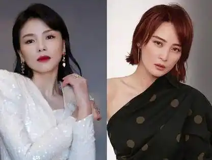 刘涛# #蒋勤勤# #陈建斌# #演员# #综艺# #刘涛#00:00/00:00