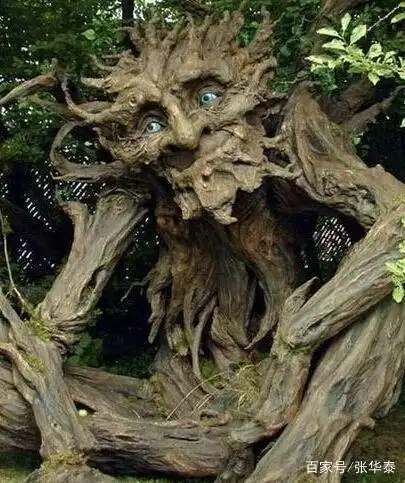 世上"诡异的树木"您知道多少,阅文就能获知?
