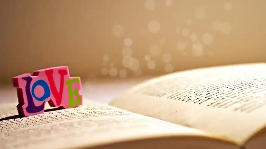 清新淡雅书本文艺风格桌面壁纸下载 第三辑