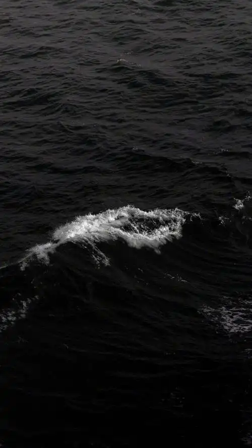 全面屏又小众又好看的壁纸好看到爆炸