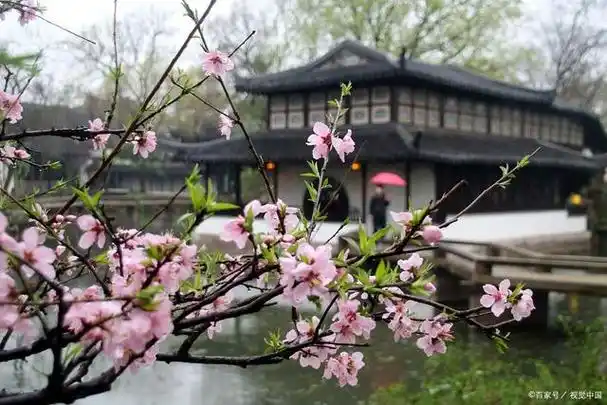 我愿出生在江南,于江南的黛瓦白墙,小桥流水,桃花春风,青石雨巷,烟雨