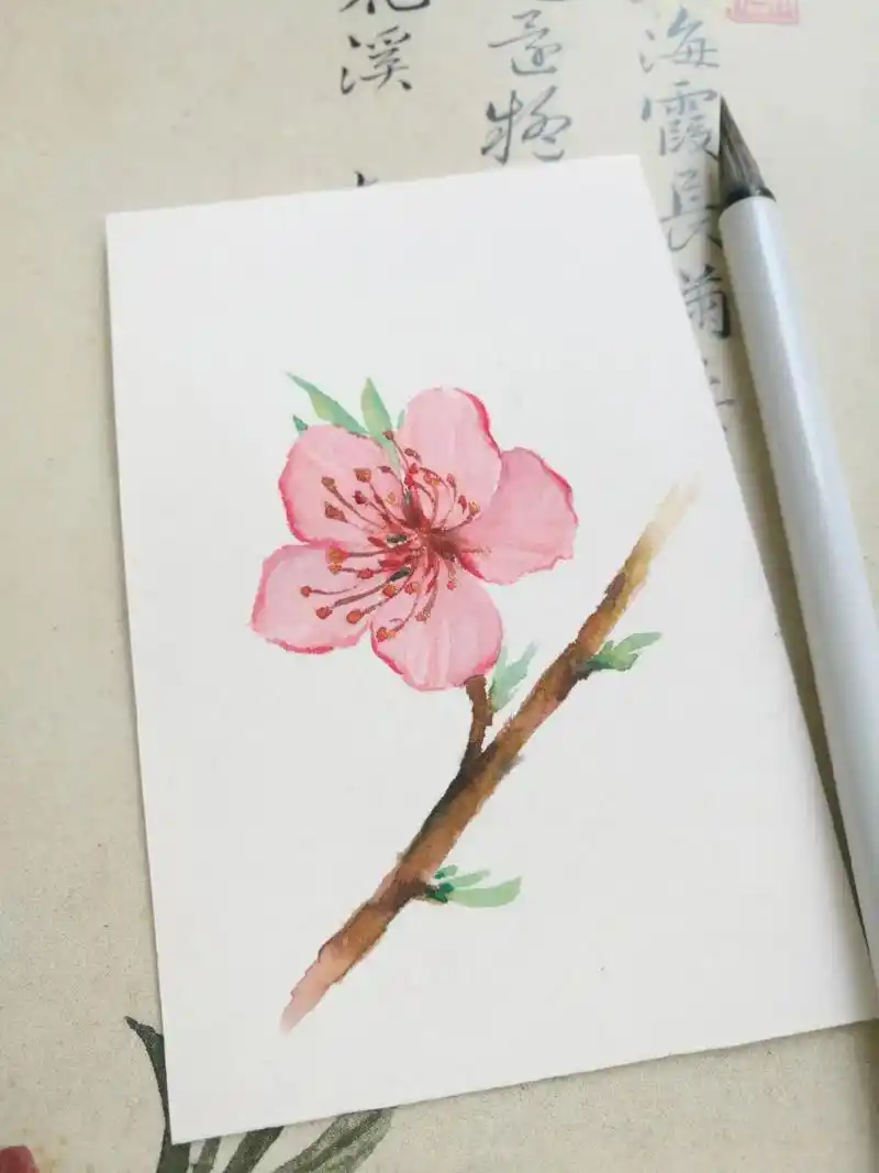 桃花开了,速涂水彩桃花混更一下吧# - 抖音