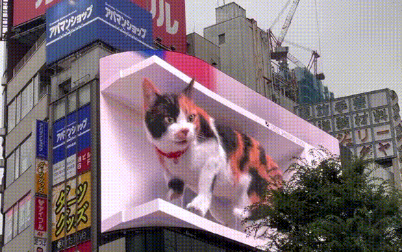 神级网红新项目裸眼3d巨屏究竟藏着什么秘密