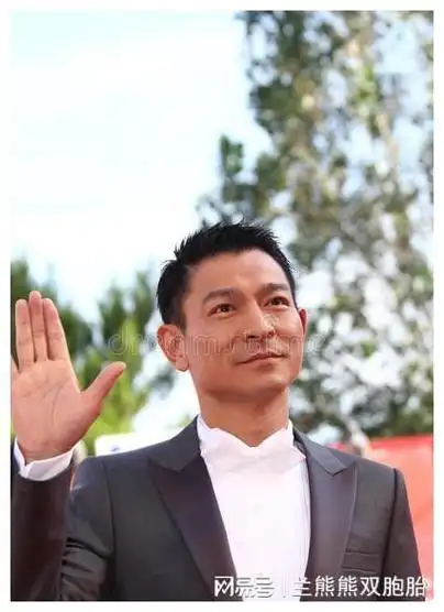 刘德华到底怎么了票房下跌背后的深层探究