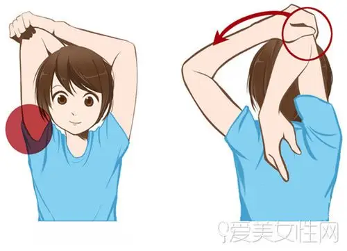 30s拉伸快速瘦手臂 7招塑造纤细手臂线条