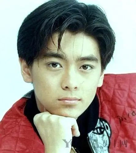 是当时那个年代爆火的发型,有许多当红港星都留这种酷酷的发型