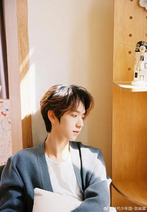 贺峻霖午后阳光写真真的好喜欢贺峻霖的这组写真呀阳光铺满了整个屋子