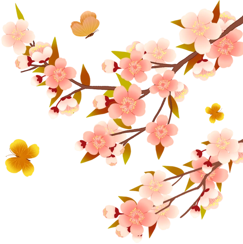 古诗词里那些令人心旌摇动的杏花