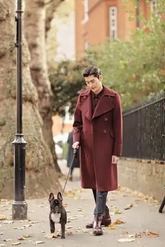 高领毛衣成型男必备?张翰配搭长风衣,183的身高果然是衣服架子