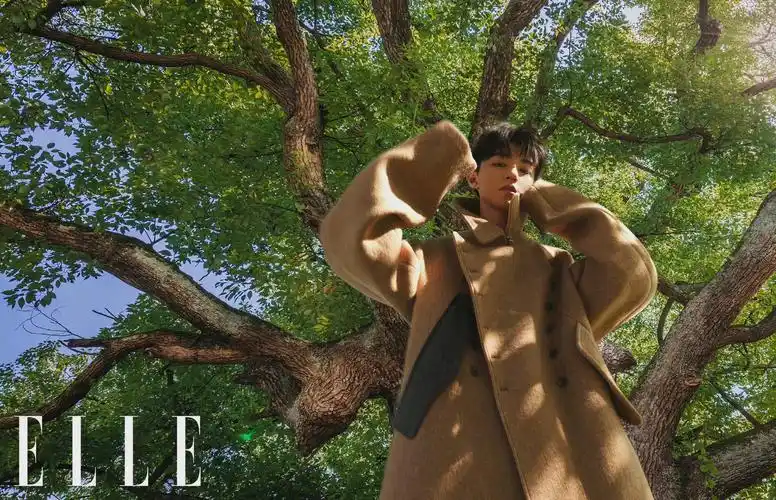 王俊凯elle十一月刊封面内页 阳光治愈系少年,少年自在如风……__财经