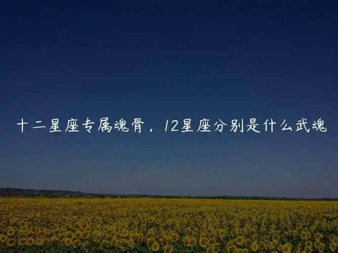 十二星座专属魂骨12星座分别是什么武魂