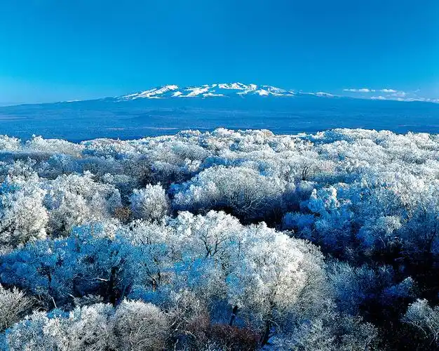 屹立茫茫林海之中的醉美雪国,冰雪穿越之旅-长白山